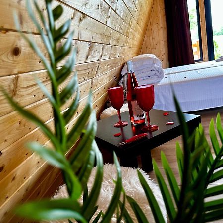 A-Frame Bucovina- Paradis Bucovinean Capu Cîmpului Kültér fotó