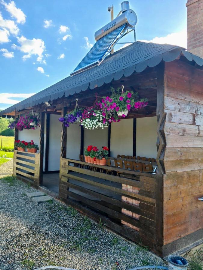 A-Frame Bucovina- Paradis Bucovinean Capu Cîmpului Kültér fotó