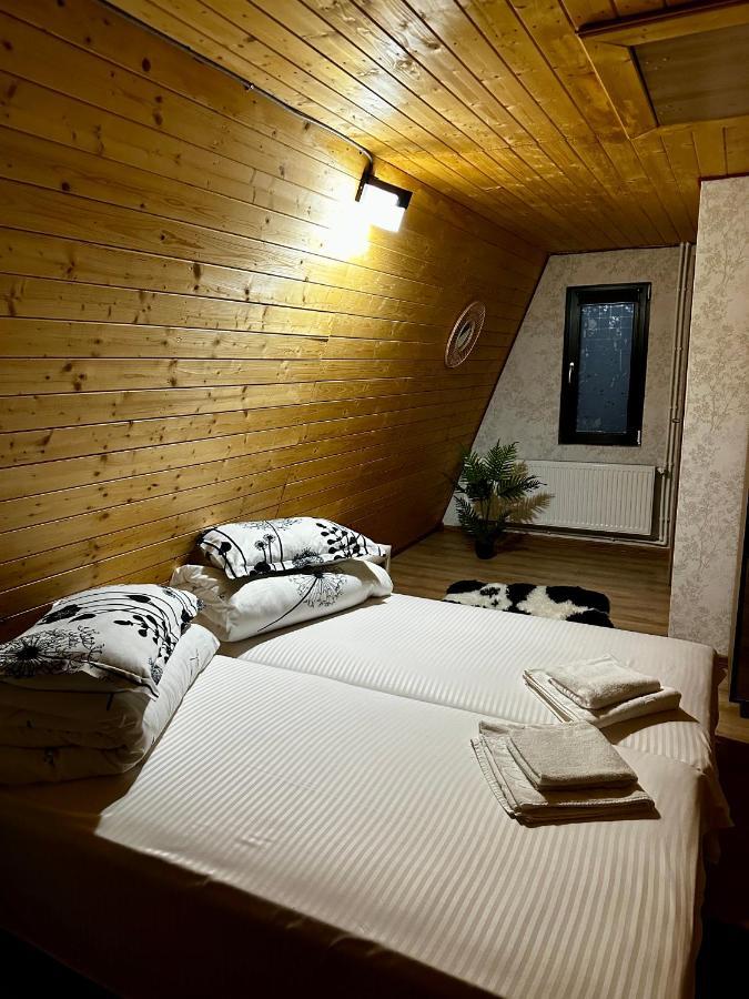 A-Frame Bucovina- Paradis Bucovinean Capu Cîmpului Kültér fotó