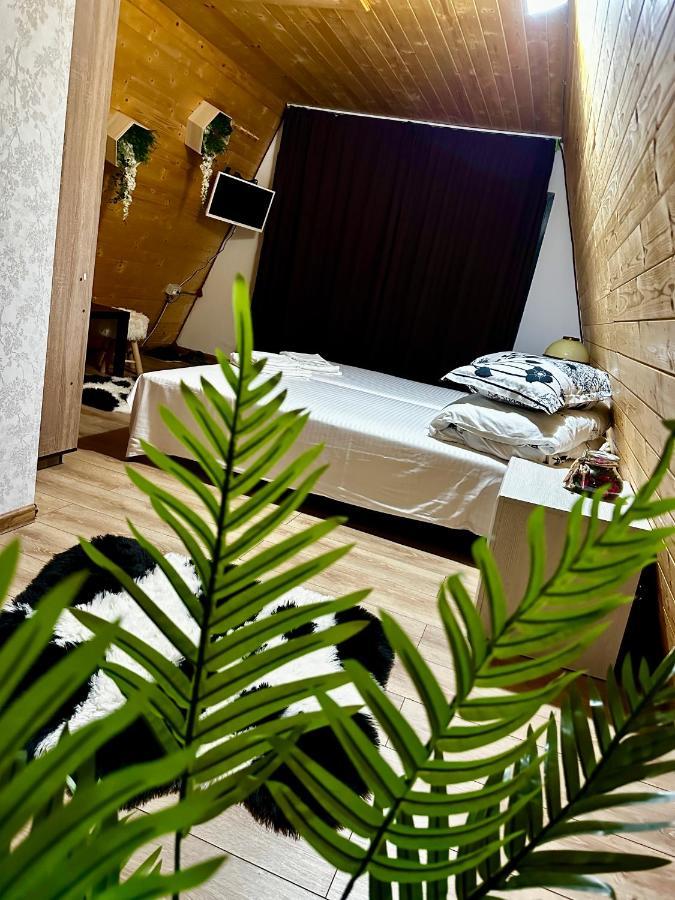 A-Frame Bucovina- Paradis Bucovinean Capu Cîmpului Kültér fotó
