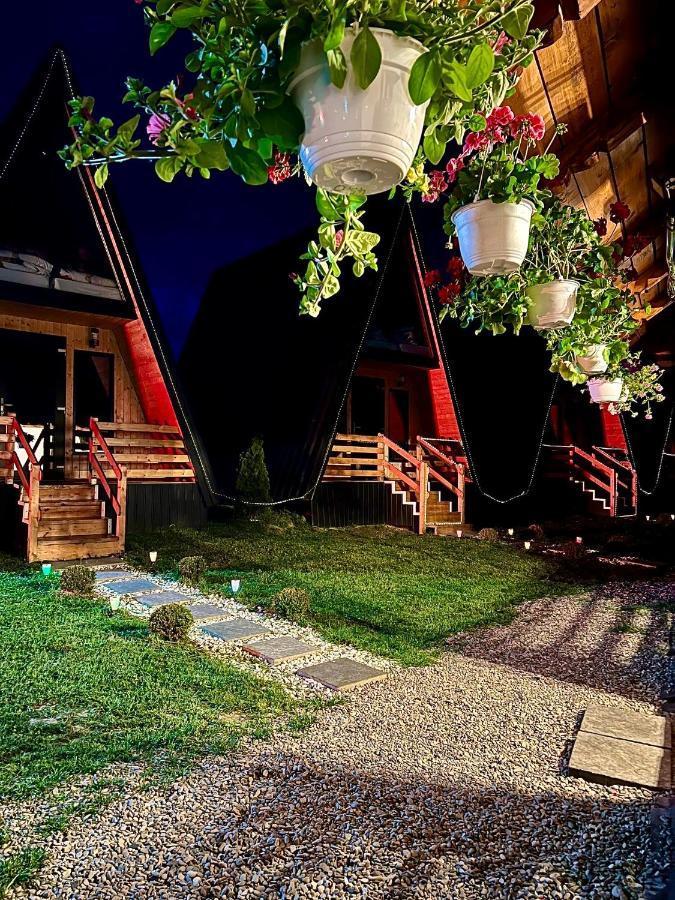 A-Frame Bucovina- Paradis Bucovinean Capu Cîmpului Kültér fotó