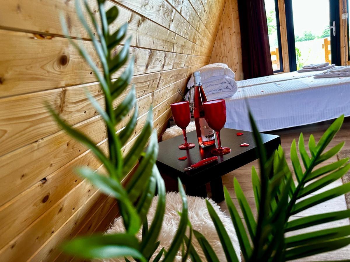 A-Frame Bucovina- Paradis Bucovinean Capu Cîmpului Kültér fotó