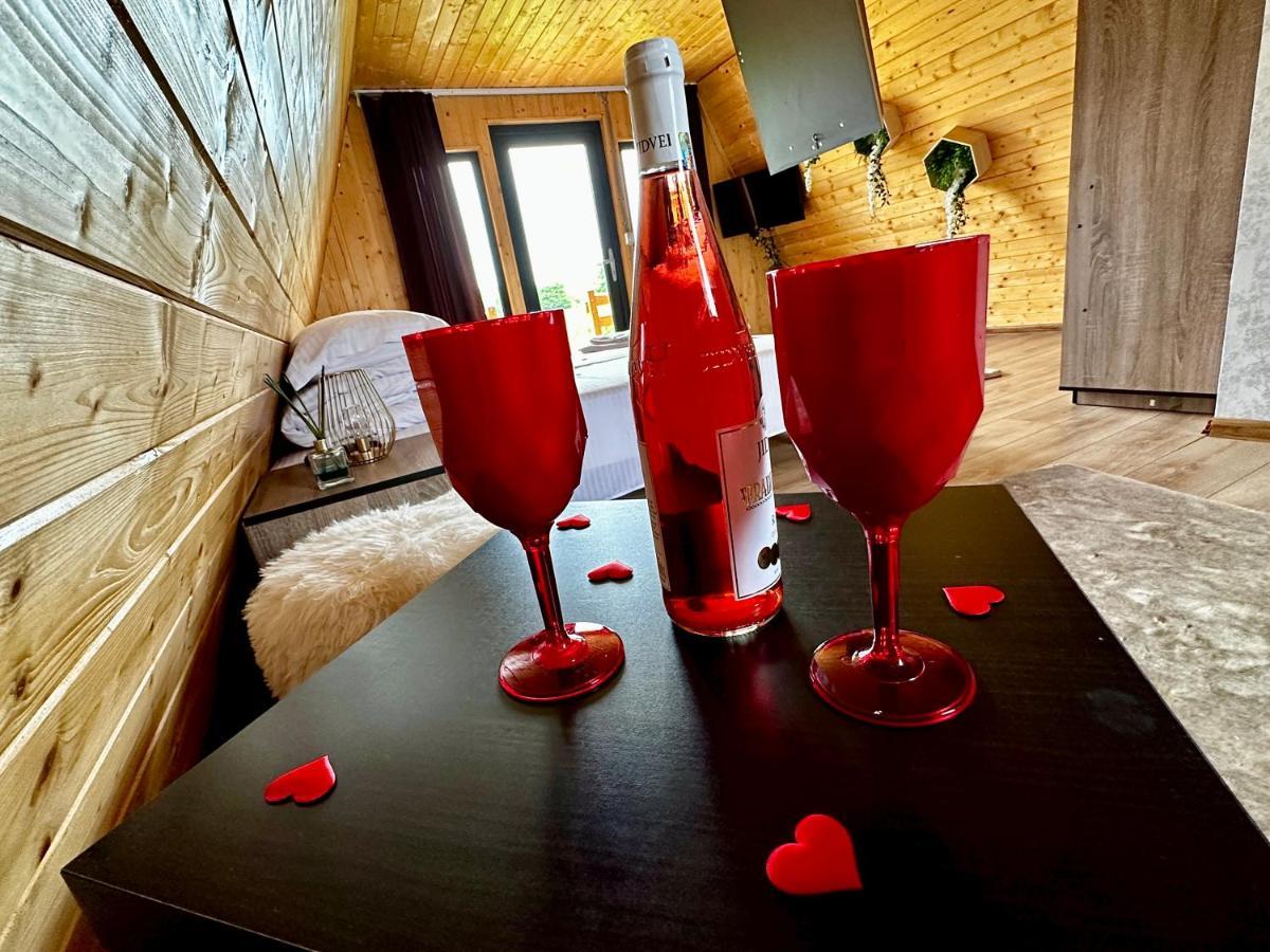 A-Frame Bucovina- Paradis Bucovinean Capu Cîmpului Kültér fotó