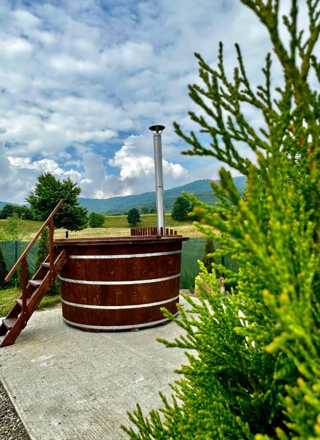 A-Frame Bucovina- Paradis Bucovinean Capu Cîmpului Kültér fotó